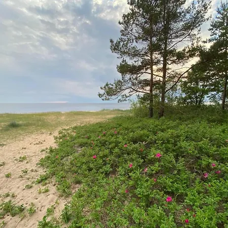 Holiday home The Flower Nest Zvejniekciems