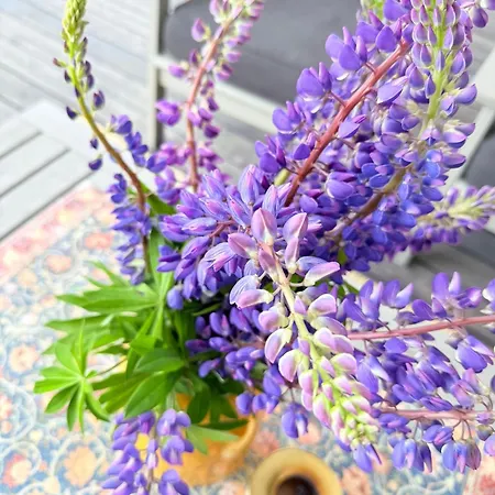 Holiday home The Flower Nest *